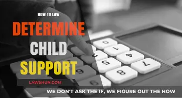 Understanding Child Support: Legal Guidelines and Calculation Methods Explained
