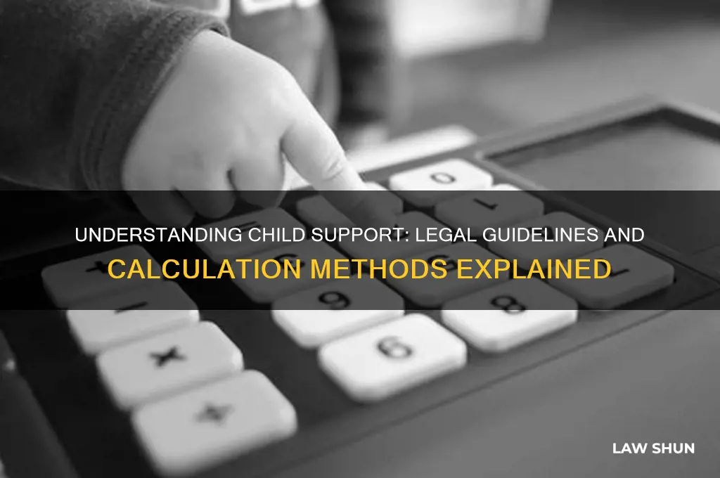 how to law determine child support