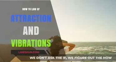 Mastering Vibrational Alignment: How to Manifest with the Law of Attraction