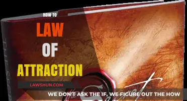 Mastering the Law of Attraction: Practical Steps to Manifest Your Dreams