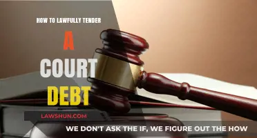 Lawfully Tendering Court Debt: A Step-by-Step Legal Guide