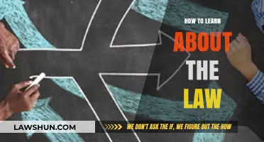 Understanding the Law: A Beginner's Guide to Legal Literacy