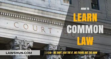 Mastering Common Law: A Guide