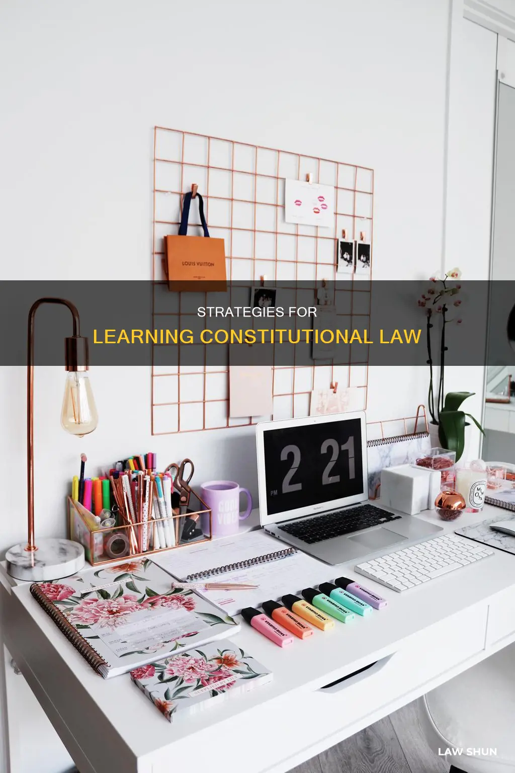 how to learn constitutional law