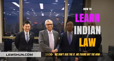 Strategies for Learning Indian Law Efficiently