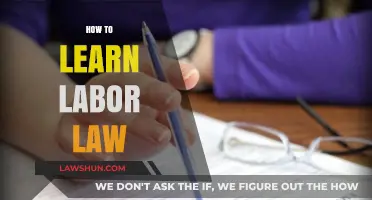 Mastering Labor Law: Essential Steps for Effective Learning and Application