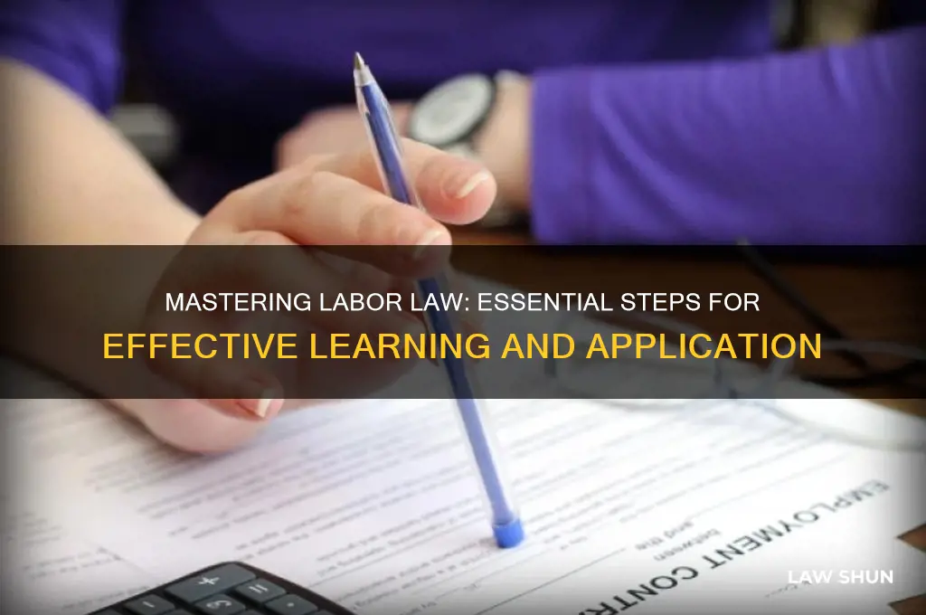 how to learn labor law