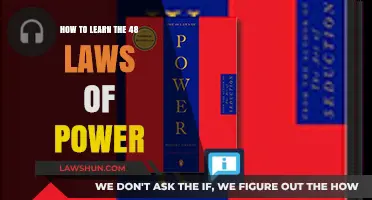 Mastering Power Dynamics: A Guide to Learning the 48 Laws