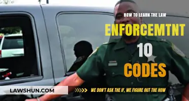 Mastering Law Enforcement 10 Codes: A Comprehensive Learning Guide