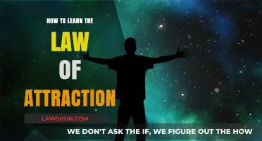 Mastering the Law of Attraction: A Step-by-Step Guide to Manifesting Your Dreams