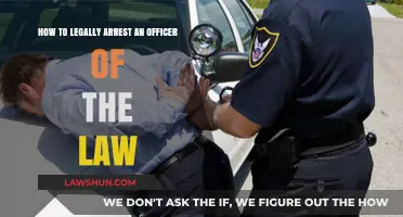 Understanding Legal Procedures to Arrest a Law Enforcement Officer