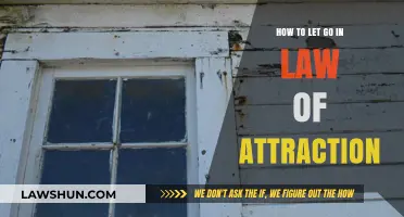 Releasing Resistance: Mastering the Art of Letting Go in Law of Attraction