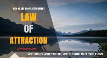 Release Attachments, Manifest Abundance: Mastering the Law of Attraction