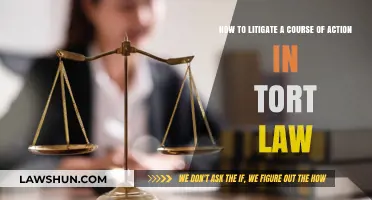 Mastering Tort Litigation: Strategic Steps to Pursue Your Legal Claim