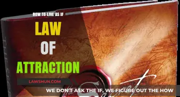 Manifest Your Dreams: Mastering the Art of Living the Law of Attraction