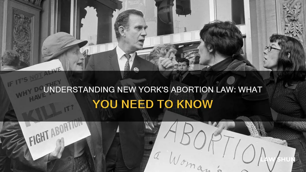 how to look the actual ny abortion law