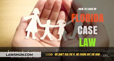 Florida Case Law: A Comprehensive Guide to Searching