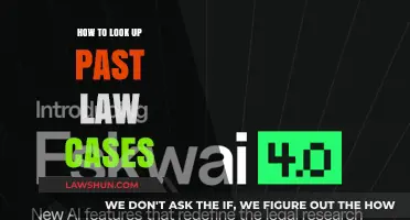 Researching Past Law Cases: A Comprehensive Guide
