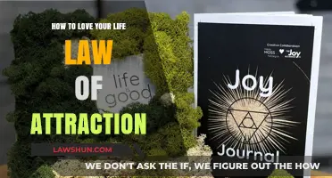 Manifest Joy: Mastering the Law of Attraction to Love Your Life