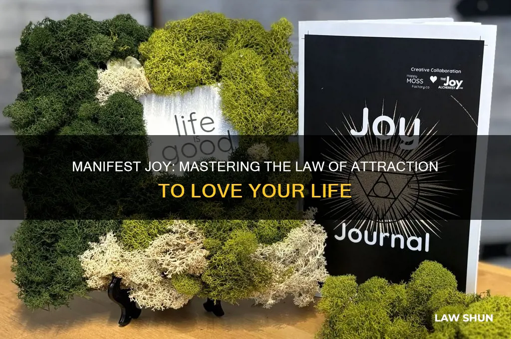 how to love your life law of attraction