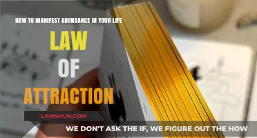 Manifest Abundance: Mastering the Law of Attraction for a Wealthy Life