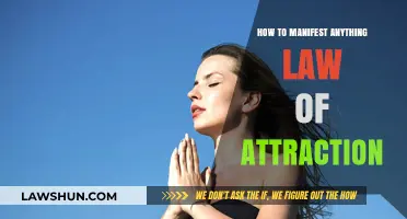 Master the Law of Attraction: Manifest Anything with Proven Techniques