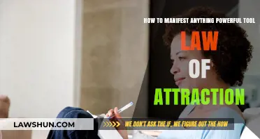 Mastering Manifestation: Unleash the Power of the Law of Attraction