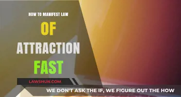 Manifest Your Dreams Quickly: Mastering the Law of Attraction Fast
