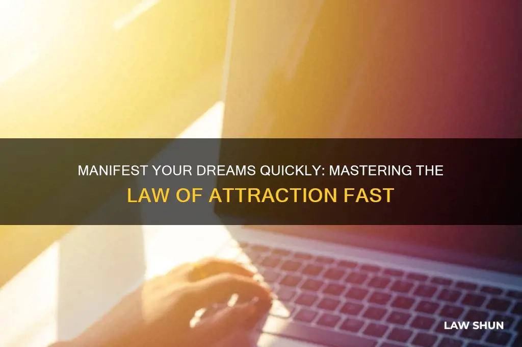 how to manifest law of attraction fast