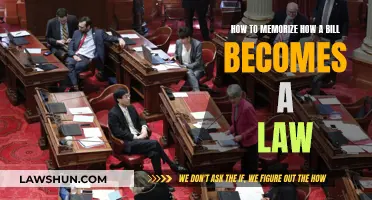 Memorizing the Steps: A Bill's Journey to Becoming Law