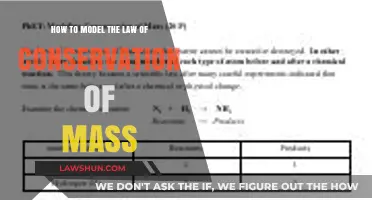 Modeling Mass Conservation: A Step-by-Step Guide for Scientists