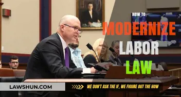 Revamping Labor Laws: Strategies for a Modern Workforce Evolution