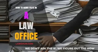 Effective File Naming Strategies for Law Offices: Best Practices and Tips