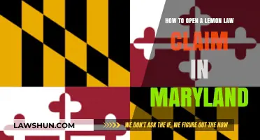 Maryland Lemon Law Claims: A Step-by-Step Guide to Filing