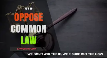 Challenging Common Law: Strategies for Opposition