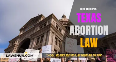 Opposing Texas Abortion Law: Strategies for Resistance and Change