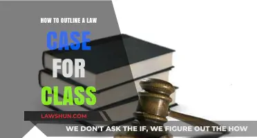 Outlining a Law Case: Strategies for Class Success