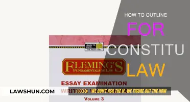 Outlining Strategies for Constitutional Law Success