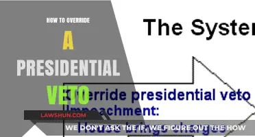 Navigating the Override: A Guide to Challenging Presidential Vetos