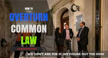 Challenging Common Law: Strategies for Reform