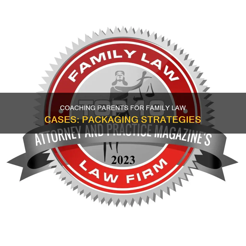 how to package parent coaching for family law cases