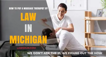 Michigan Massage Therapist Payment Laws: A Legal Guide for Employers