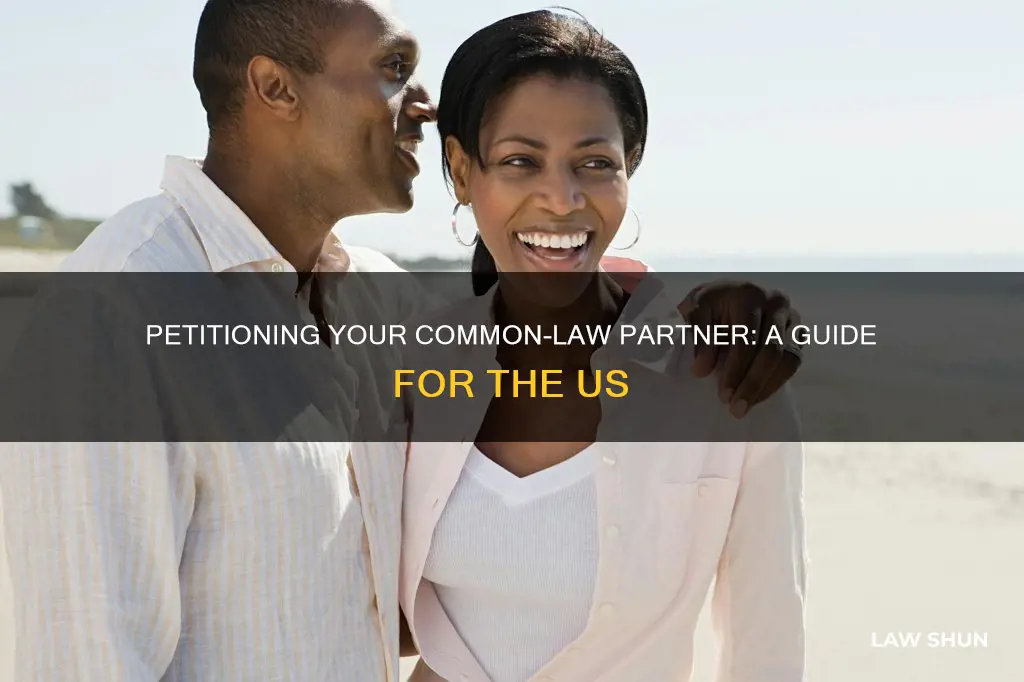 how to petition a common law partner in usa