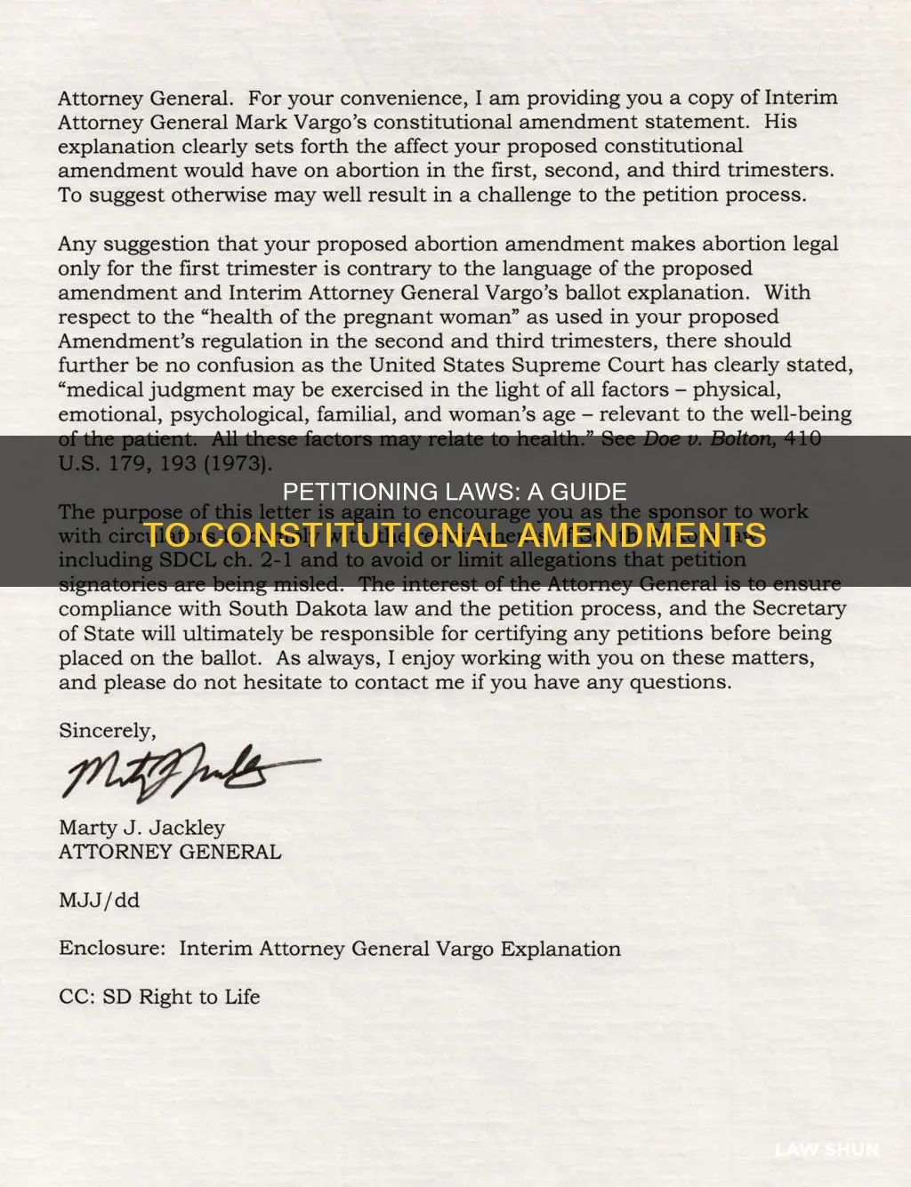 how to petition a law to the constitution