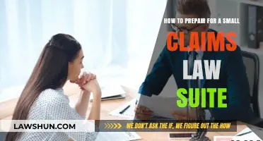 Mastering Small Claims Court: Essential Steps to Prepare Your Case