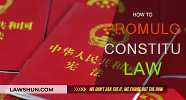 Promulgating Constitutional Law: A Guide