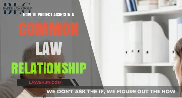 Protecting Assets in Common Law: What You Need to Know