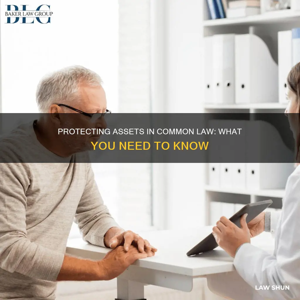 how to protect assets in a common law relationship