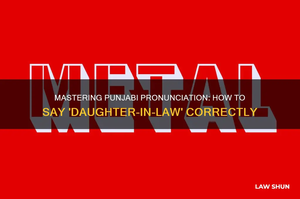 how to prounce daughter in law in punjabu