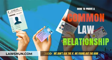 Establishing Common-Law Relationships: What You Need to Prove